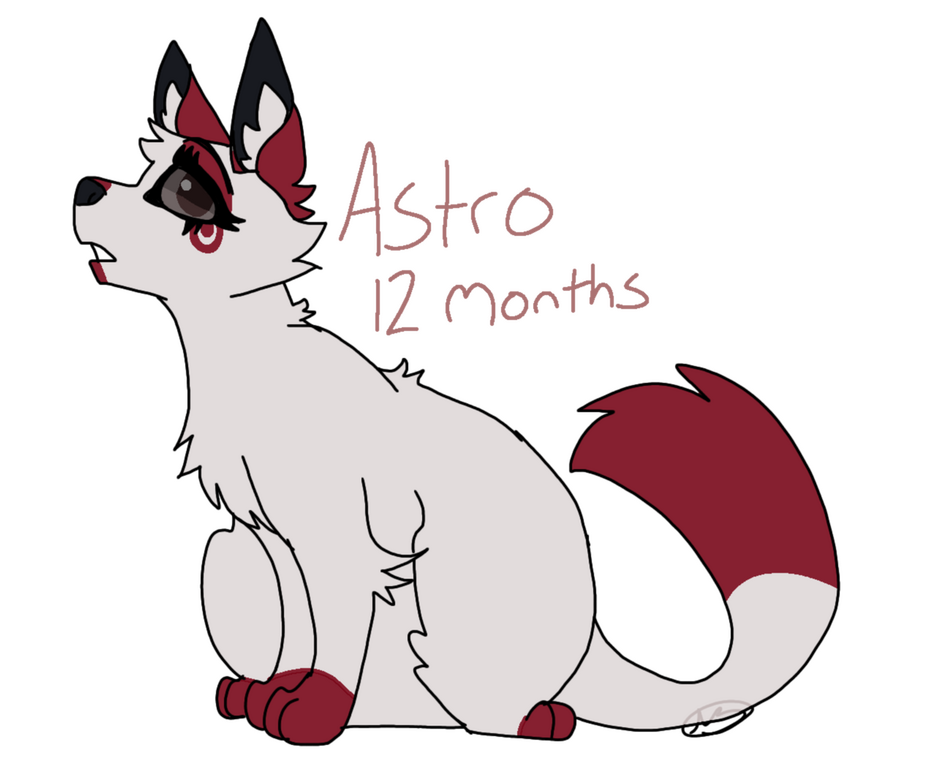 One of the OCs i own Reference Sheet.