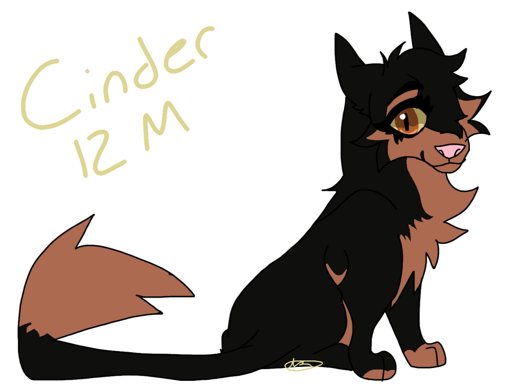 Another OC i own's Reference Sheet.